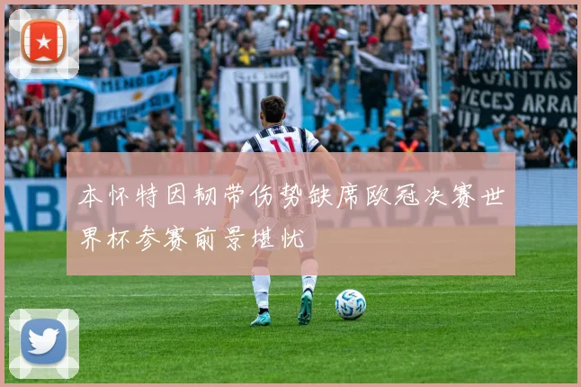 本怀特因韧带伤势缺席欧冠决赛世界杯参赛前景堪忧